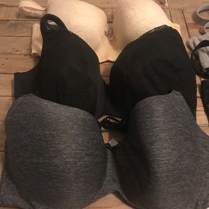 Lane Bryant Cacique Bras, 42F